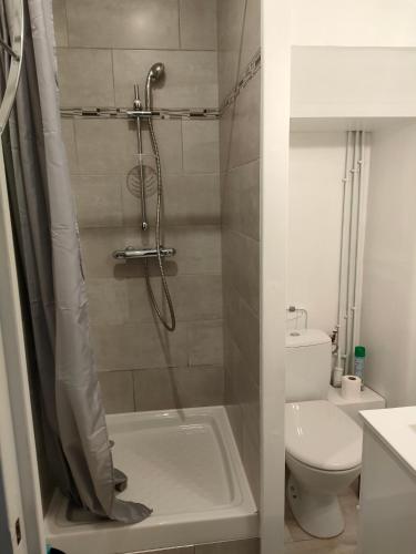 une salle de bain avec douche et toilettes dans l'établissement Joli studio entre port et plage, à Dieppe