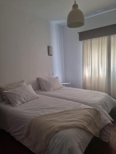 a large white bed in a bedroom with a window at Alojamento Romano in Termas de Sao Pedro do Sul