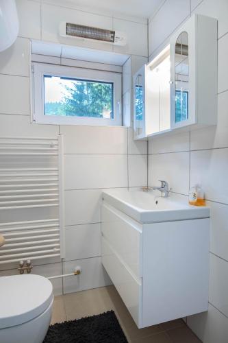 a white bathroom with a toilet and a sink at House Angelca in Hočko Pohorje