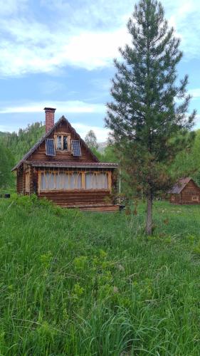 an old house in a field with a tree at Таежный домик Васильево in Poperechnoye