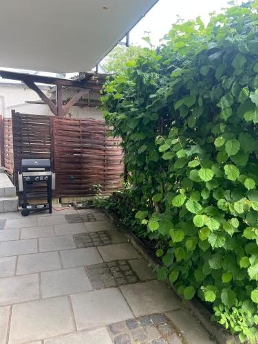 a large green bush next to a patio at Sunset Apartment mit Rheinblick in Urbar in Urbar-Mayen-Koblenz