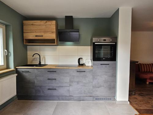 a kitchen with a sink and a counter top at seenahes Ferienidyll in Wustrow