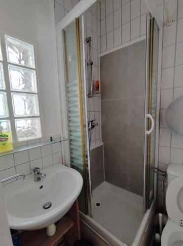 a bathroom with a sink and a shower at Mini immeuble en entier avec jardin côté Parc in Vichy