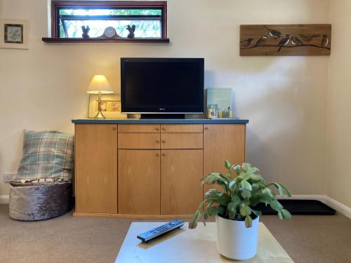 TV a/nebo společenská místnost v ubytování Squirrels Nest