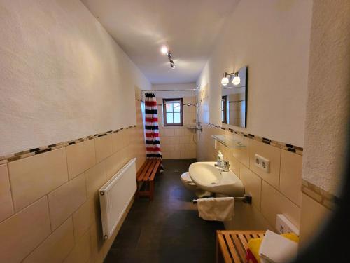 a bathroom with a sink and a toilet and a mirror at Hörterer Martina | Chiemgau Karte in Grassau