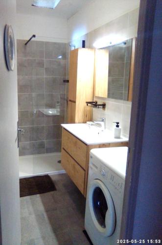 La salle de bains est pourvue d'un lave-linge et d'une douche. dans l'établissement Gîte les Albères, à Saint-André