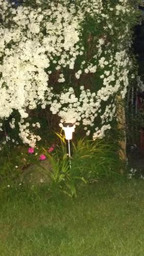 Un jardín fuera de Schöne Aussicht