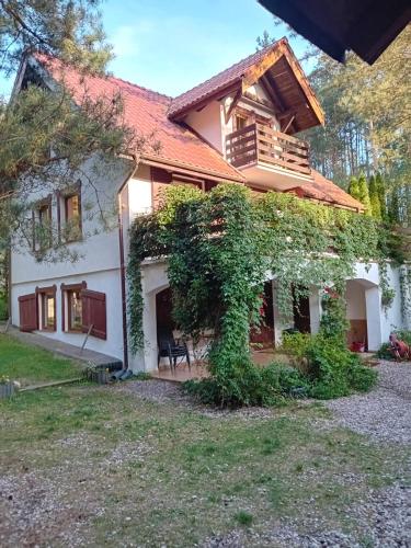 Wczasy na Kaszubach, balia, sauna, jezioro