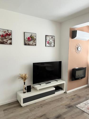 a living room with a flat screen tv on a wall at Apartmani Gandi in Bihać