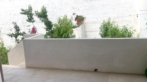 two potted plants sitting on a white wall at B&B Passione Salento in Surbo