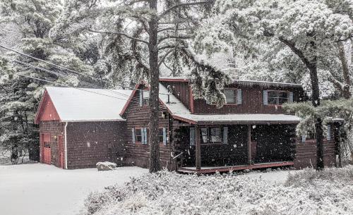 a house covered in snow with a dog in front of it at Hickory Cabin by AvantStay Firepit Hot Tub Game Room Great Location in Palmerton