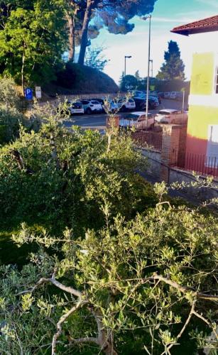 a bush in front of a parking lot with cars at Civico 1 in Cetona