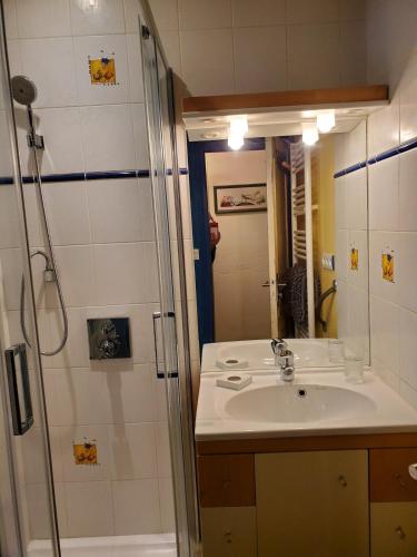 une salle de bain avec un lavabo et une douche dans l'établissement L'étape de Brocéliande, à Josselin