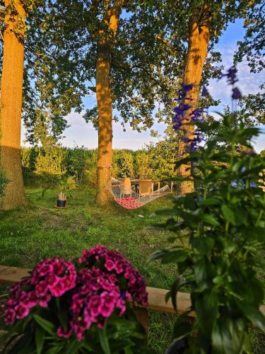 a bunch of flowers in a garden with trees at natuur huisje in Anloo
