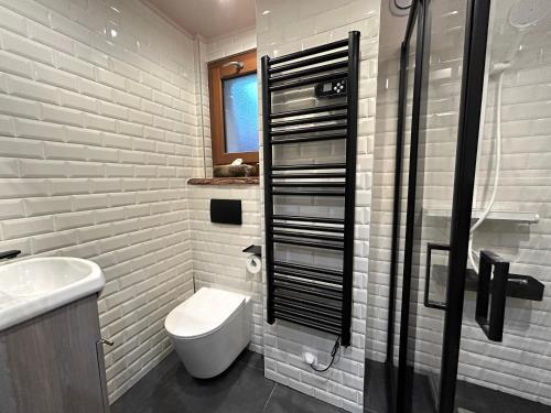 une salle de bain avec toilettes et lavabo dans l'établissement GRAVACHES 3 Appt 6 pers, centre, pistes, à La Clusaz
