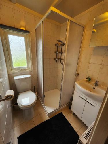 a bathroom with a shower and a toilet and a sink at natuur huisje in Anloo