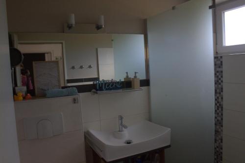a bathroom with a sink and a mirror at Bambus in Wangerland