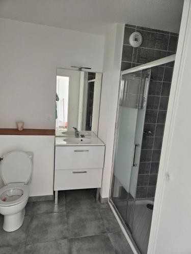une salle de bain avec toilettes, douche et lavabo dans l'établissement Petit cocon Sètois ! Balcon avec vue et parking, à Sète