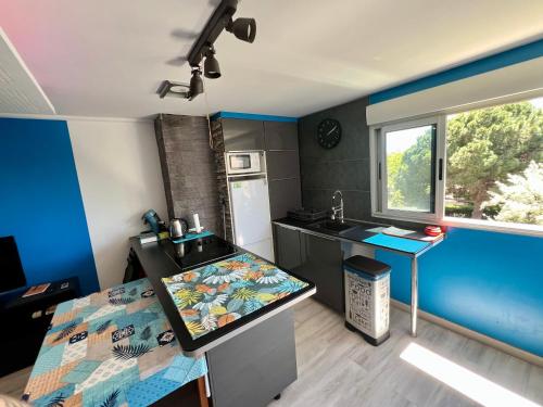 une petite cuisine avec un évier et un comptoir dans l'établissement C19 Jules Verne, au Cap d'Agde