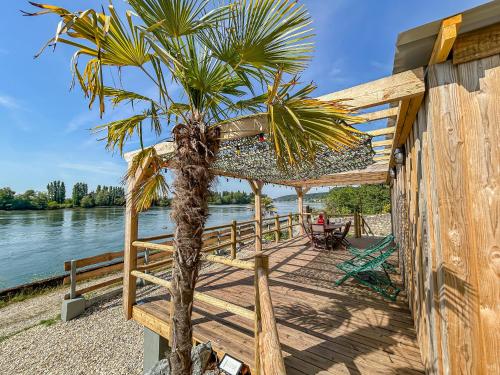 a palm tree on a deck next to the water at Eco lodge, vue exceptionnelle! in Duclair