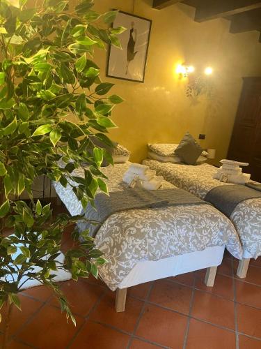 Monolocale Dalia Abbadesse Guest House M3-M5 Zara