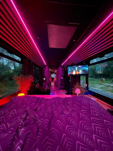 Televisyen dan/atau pusat hiburan di Magnifique bus insolite avec jacuzzi