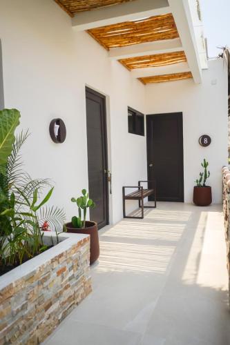 Fotografie z fotogalerie ubytování Sélanna v destinaci El Paredón Buena Vista