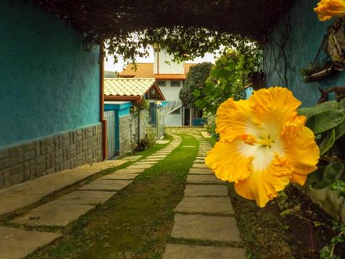 a yellow flower on the side of a house at Águas de Carrancas FLATS in Carrancas