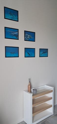 a room with a white wall with blue pictures at homeliday ACTIVE in Caldana