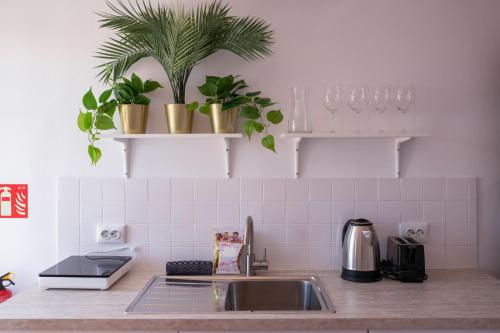 Alfama Historial I River View by Homing