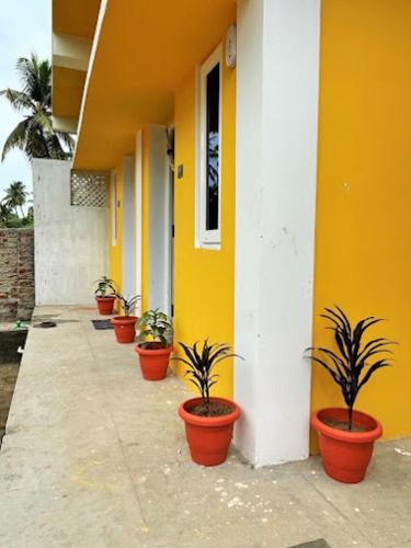 a row of potted plants inront of a building at Eden De Pondy in Puducherry