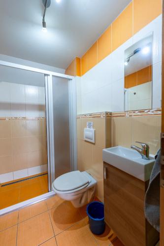 Un baño de Penzion U Andresů