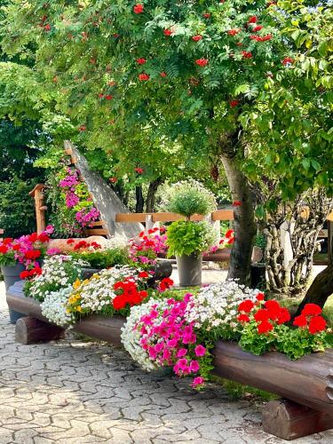 a bunch of flowers in a garden with trees at Studio chaleureux, confortable, avec vue sur les Alpes 2- 3 pers in Anzère