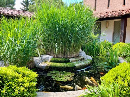 a garden with a pond and a koi at Auberge Val Moureze Hôtel & Spa in Mourèze