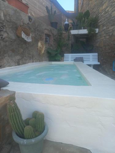 a pool with a bench and a cactus in a yard at Cal Hidalgo in Palouet
