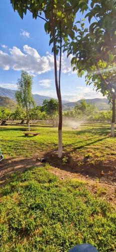 a field with two trees in the grass at GreenField Resort in Yeghegnadzor