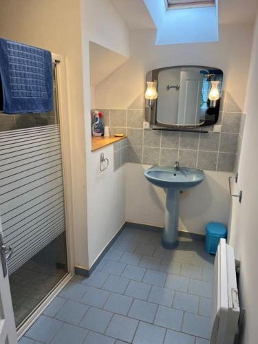 une petite salle de bain avec un lavabo et un miroir dans l'établissement gite de saintre, à Juilley