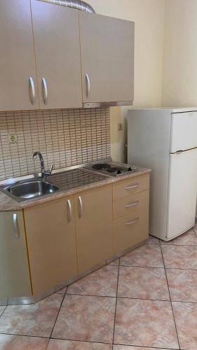 a kitchen with a sink and a white refrigerator at Dhoma Plazhi Husi in Borsh