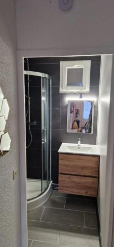 une salle de bain avec un lavabo, une douche et un miroir dans l'établissement le charme des dosses, au Barcarès