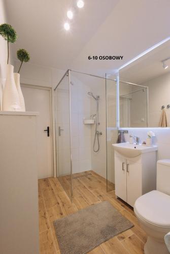 a bathroom with a shower and a toilet and a sink at Słoneczne domki in Dębki