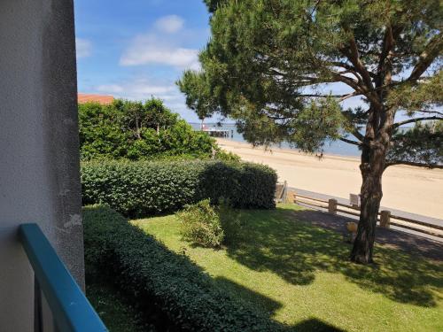 une vue d'une plage avec un arbre et des buissons dans l'établissement les pieds dans l'eau, à Arcachon