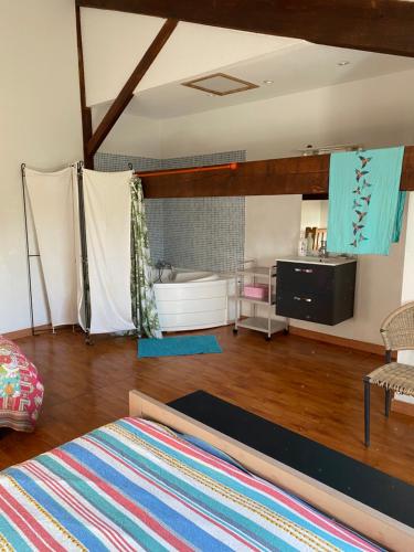 salon z wanną i dywanem w obiekcie Le Séville 20mn des plages climatisé w Béziers