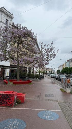 a street with trees with pink flowers on it at Vienna Laurenz apartment in Größing