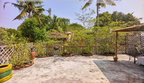 a backyard with potted plants and a fence at Ushas Homestay in Trivandrum
