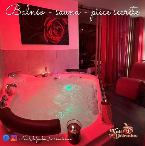 Gambar di galeri bagi Nuit Défendue Jacuzzi-Sauna di Tournus