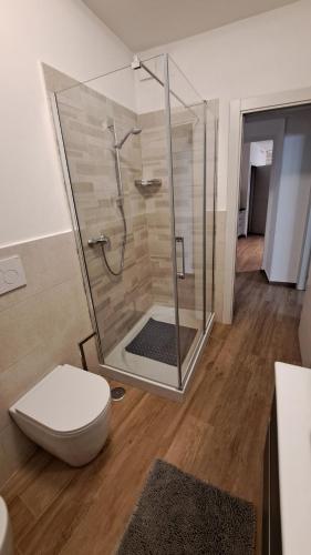 Habitación con baño con ducha y aseo. en Appartamento Via Mazzini Gubbio Centro, en Gubbio