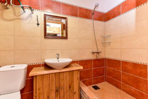 a bathroom with a sink and a toilet and a shower at House in Krikstonys in Krikštonys