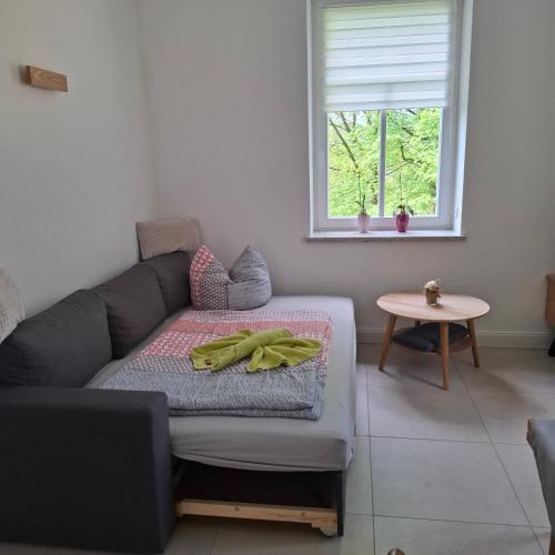 a living room with a couch and a table at Ferienwohnung "EDDI" in Hohnstein