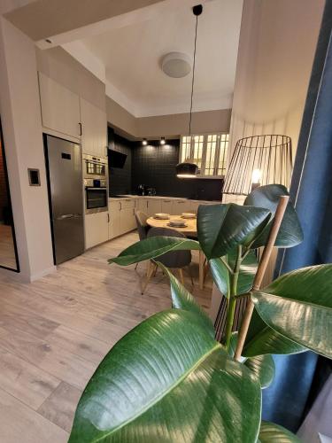 BoleslaviaApartments - Apartament Simon 3, Center, air conditioning