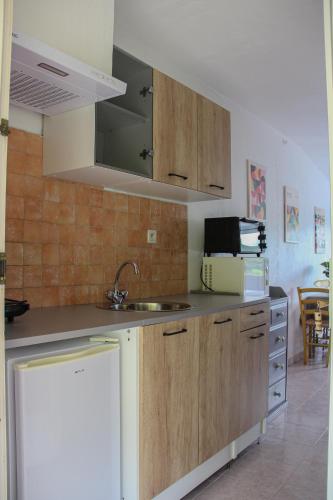 Dapur atau dapur kecil di Les Ricoux